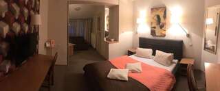 Отель Hotel Passione Бельско-Бяла Двухместный номер с 1 кроватью-13
